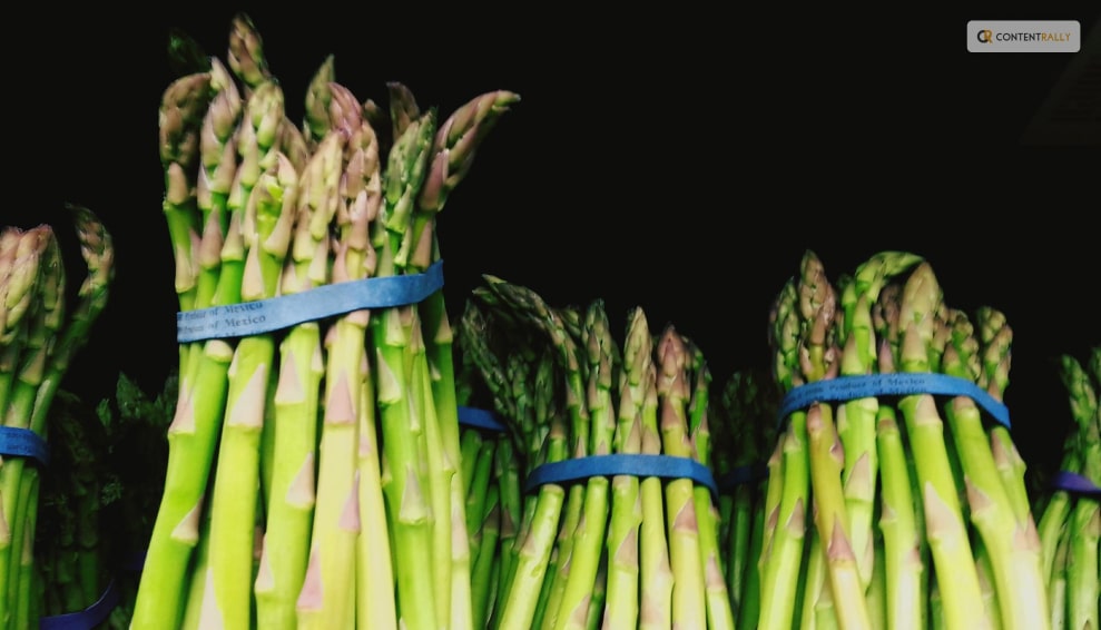 When to Harvest Asparagus?