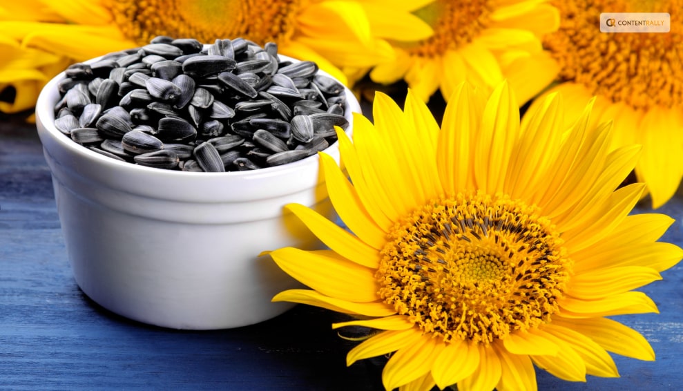 How to Enjoy Sunflower Seeds?