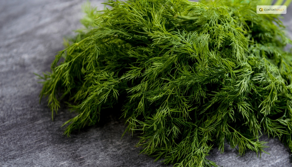 How to Freeze Fresh Dill