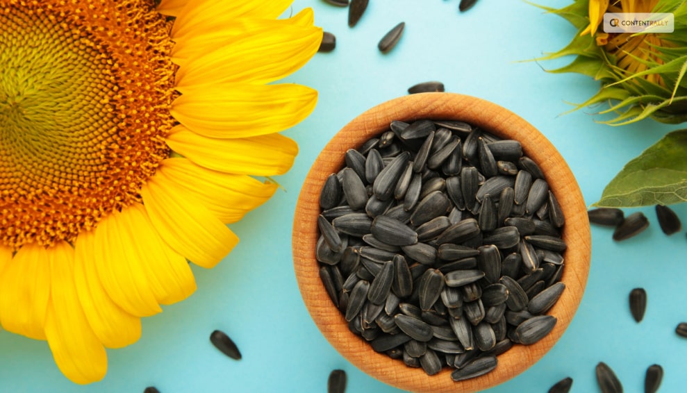 How to Plant Sunflower Seeds?