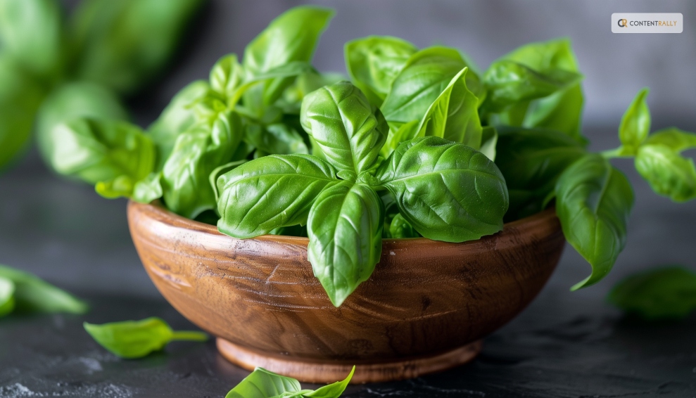 How to Use Basil Leaves