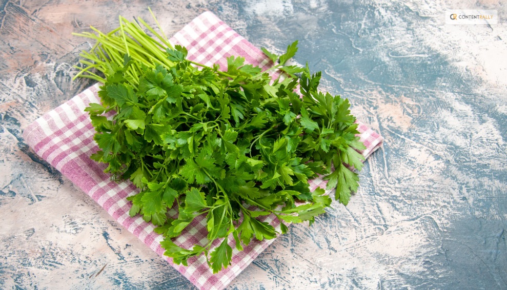What To Expect from Cilantro