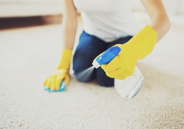 Homemade Carpet Cleaning