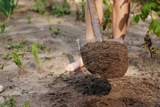 How much does a yard of topsoil weigh?