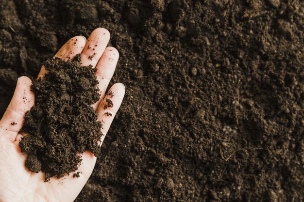 How much does a yard of topsoil weigh?