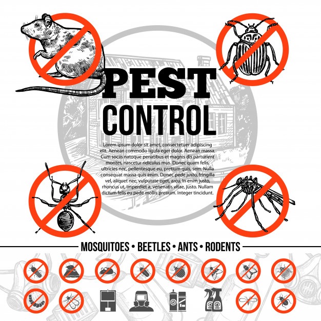  pest control