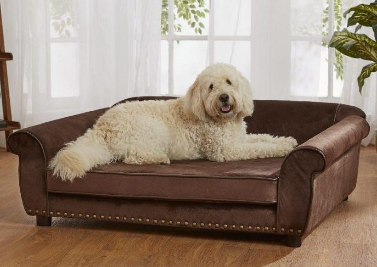 Sofas For Dogs