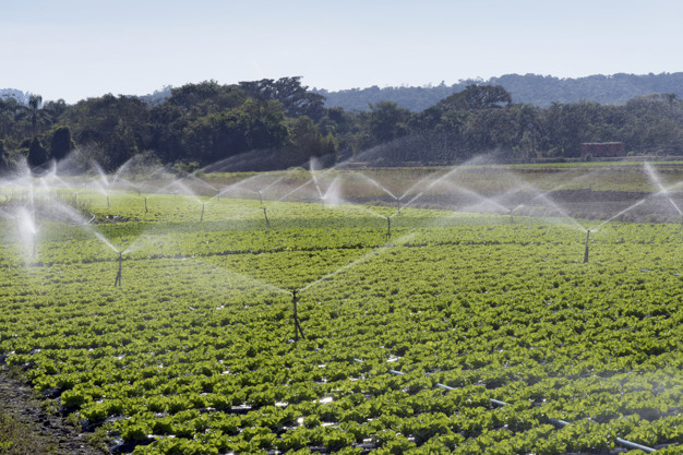 Irrigation Business