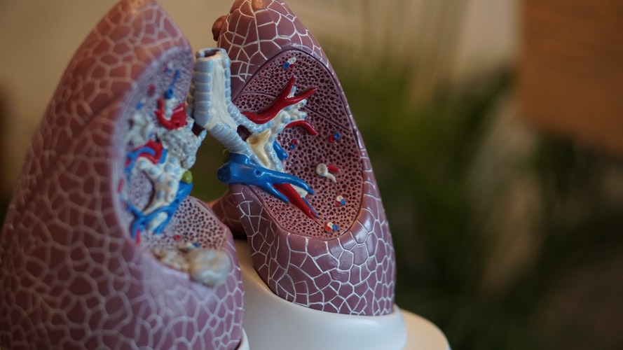 1. Respiratory Illnesses including Lung Cancer-
