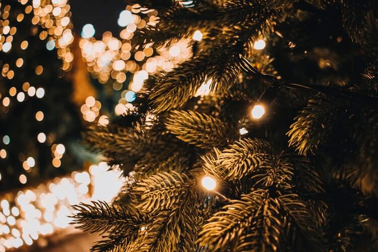 1. Choosing the best Christmas lights