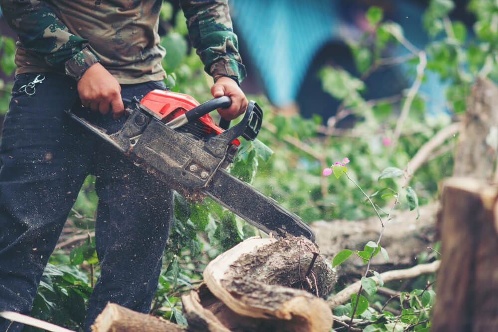 Business Insurance Covering Tree Trimmers