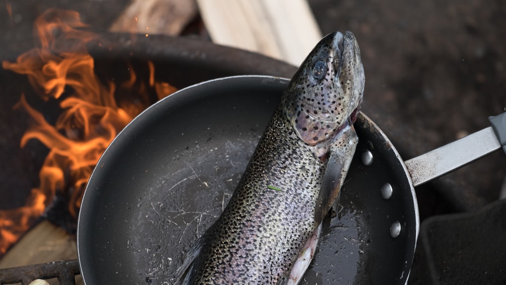 8 Campfire Cooking Essentials For A Camp Kitchen