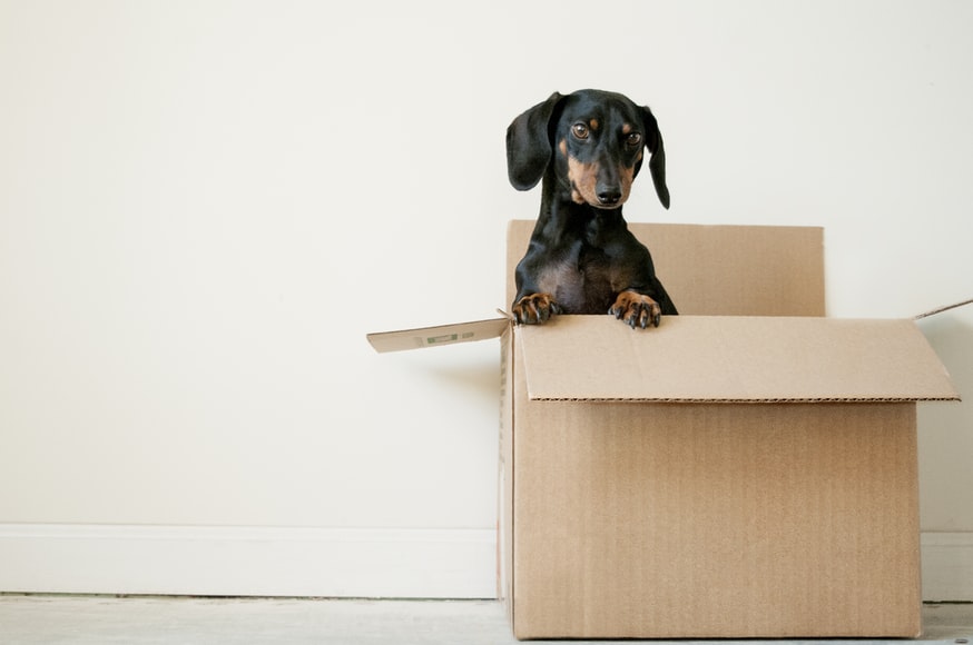 Top Household Items That Are Commonly Damaged During Moving