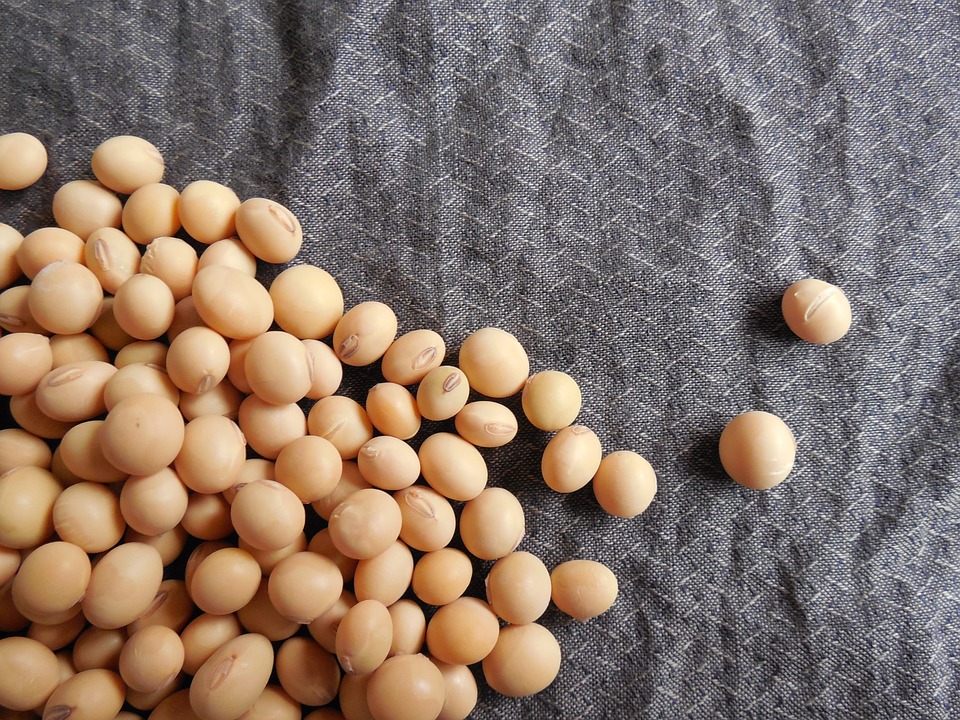 3 Advantages Of Taking The Soy Peptide