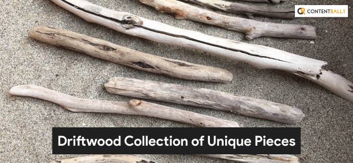 Driftwood Collection Of Unique Pieces