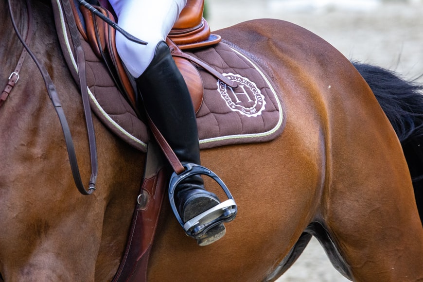 How Much Do Horseback Riding Lessons Cost?