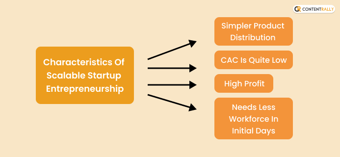 Characteristics Of Scalable Startup Entrepreneurship: How To Know What It Is?