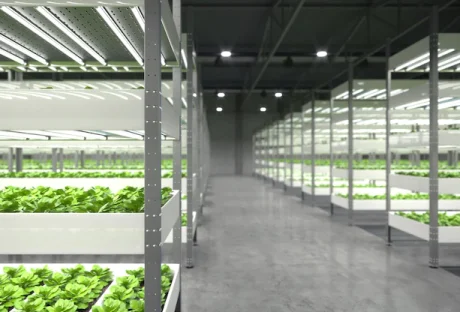 commercial Greenhouse Flooring