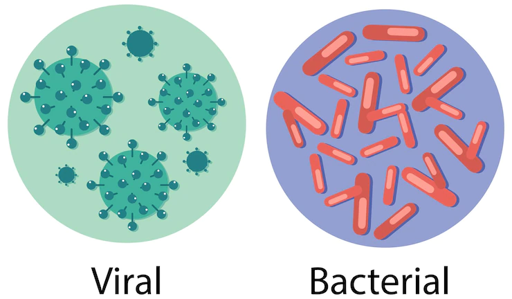 Bacterial Amylase