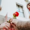 Give Roses To Your Partner
