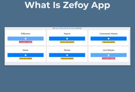 What Is Zefoy App