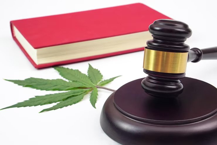 state laws around cannabis