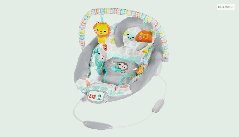 Bright Starts Baby Bouncer With Vibrating Seat