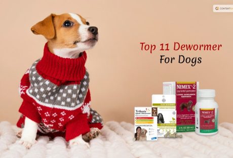 Dewormer For Dogs