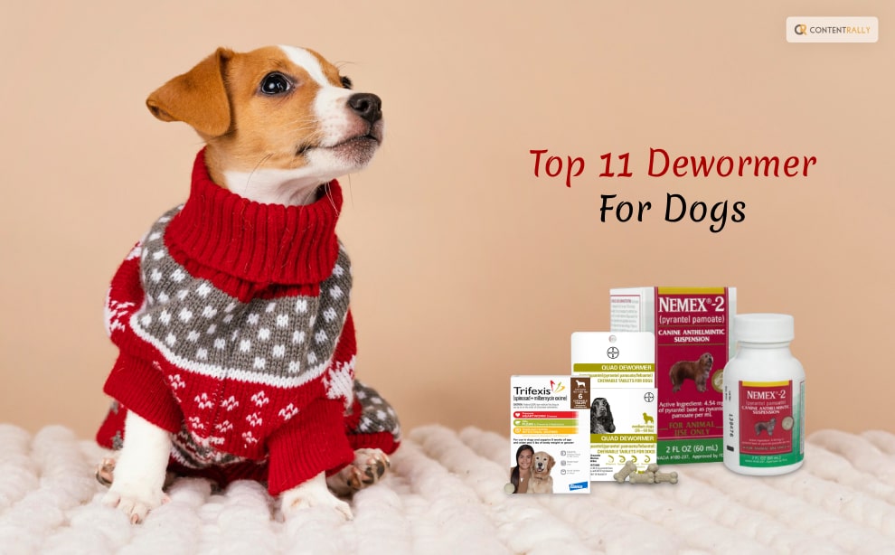 Dewormer For Dogs