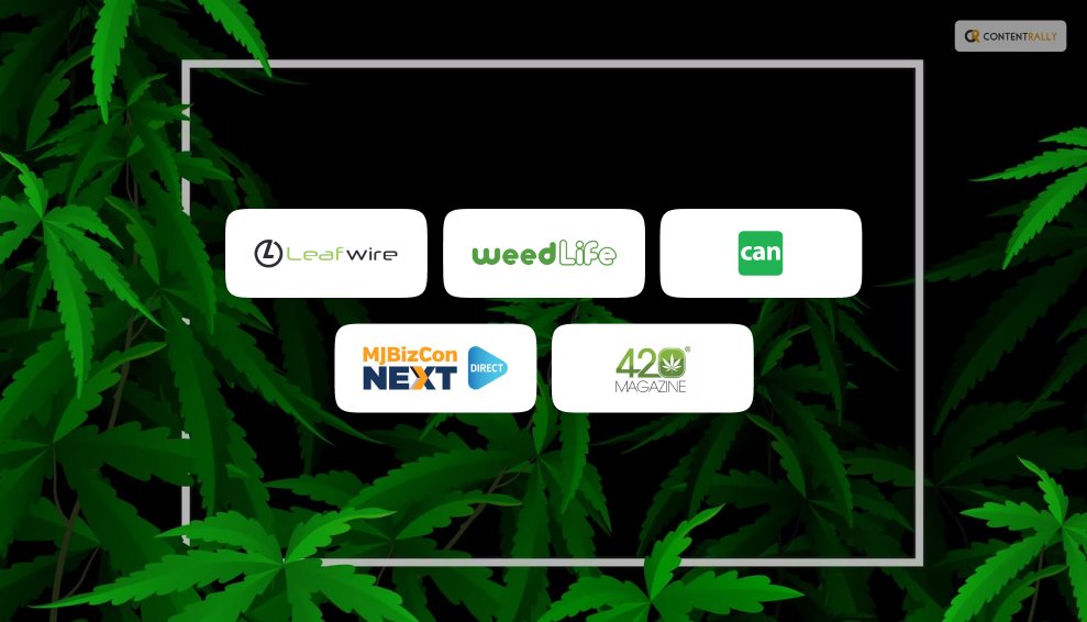 Best Cannabis Social Network
