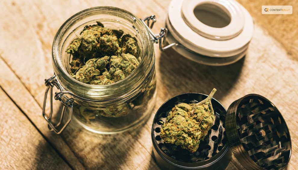 How To Keep Weed Fresh: The Cannabis Storage Hacks
