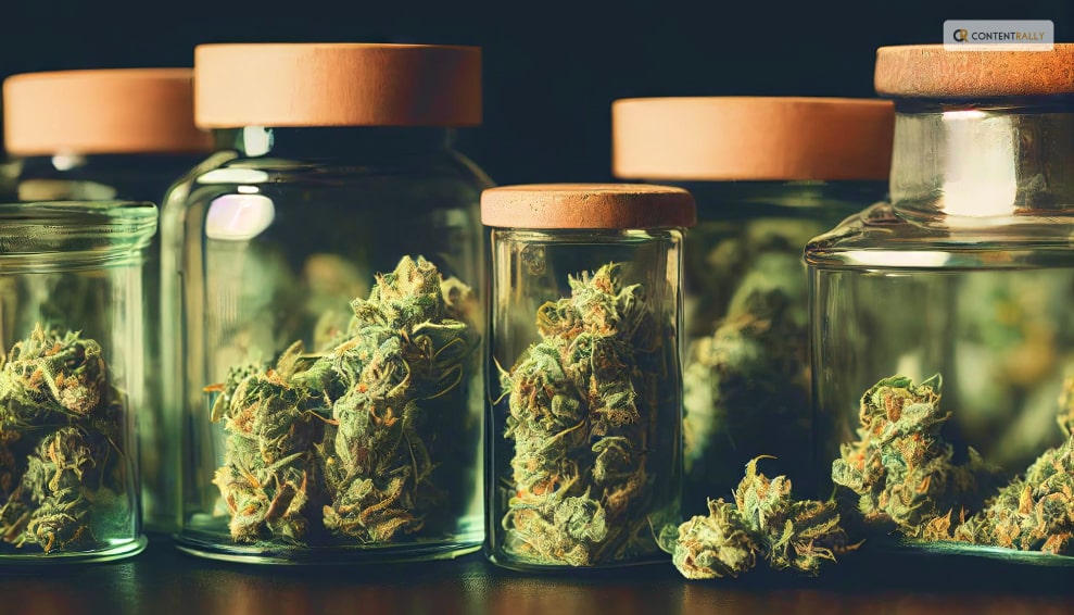 The Essentials Of Cannabis Storage