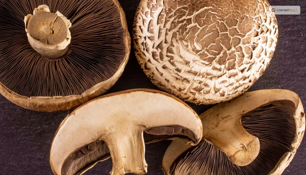 Benefits Of Portobello Mushrooms  