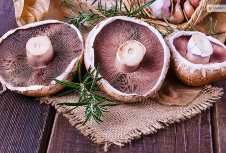 negative effects of portobello mushrooms-