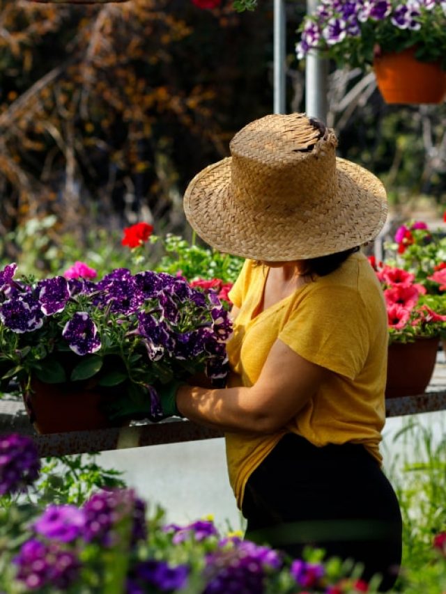 Top 3 Gardening Apps FOR Your Green Thumb