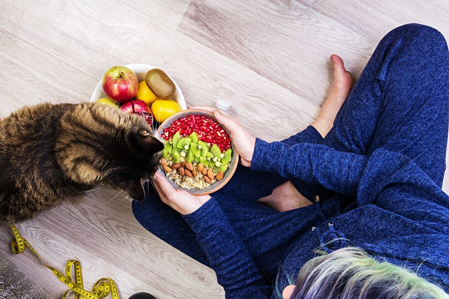 Benefits Of A Raw Cat Food Diet  