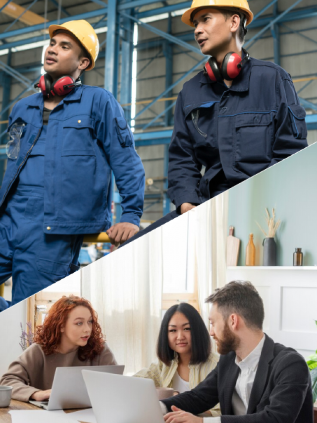 Blue Collar Jobs VS. White Collar Jobs