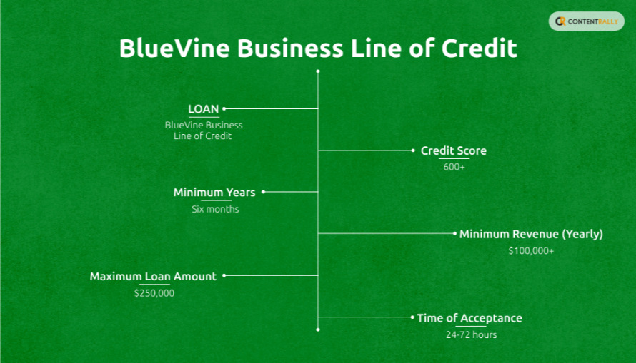 BlueVine Business Line of Credit