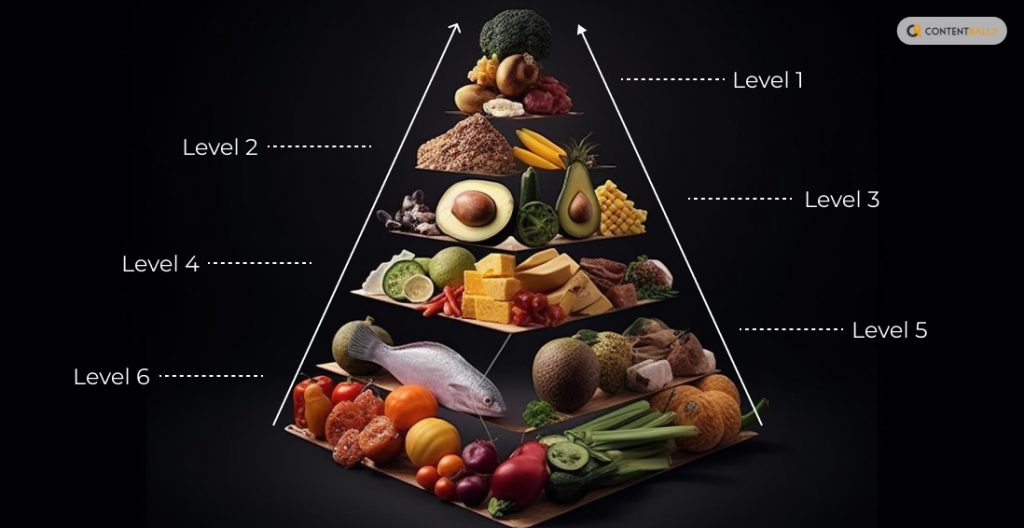 Explaining Each Shelf of the Food Pyramid 2024