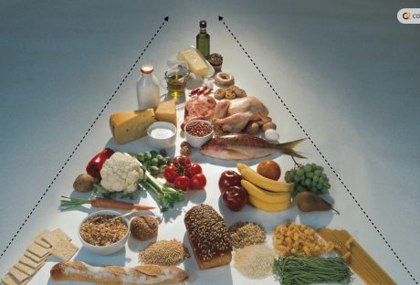 Food Pyramid 2024