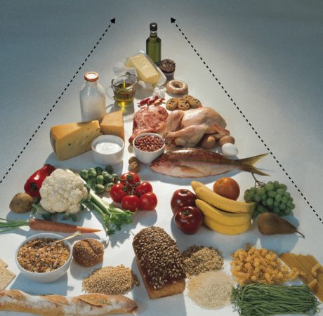 Food Pyramid 2024