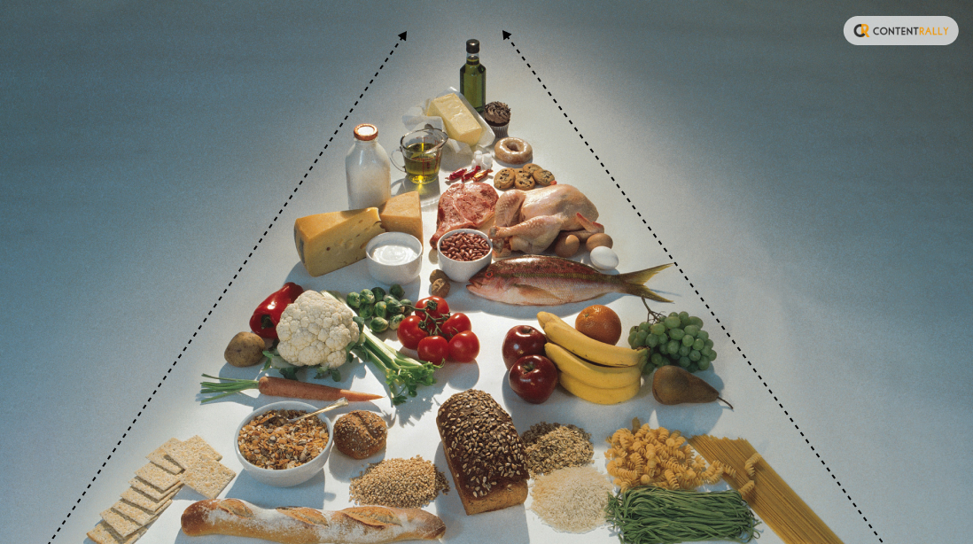 Food Pyramid 2024