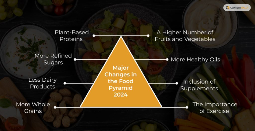 Major Changes in the Food Pyramid 2024 from Earlier Ones