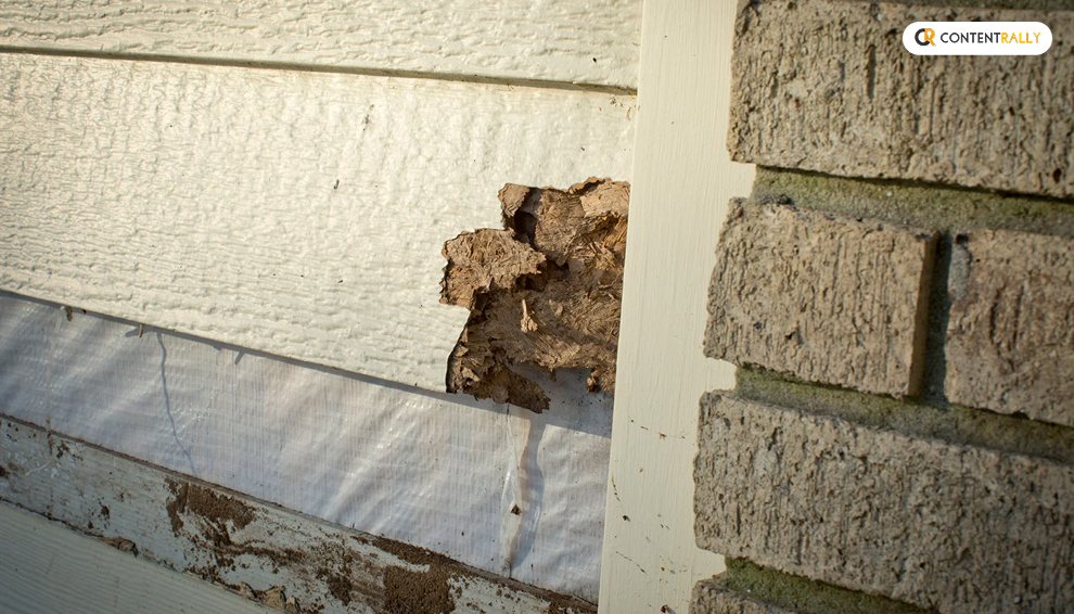Key Signs You Need to Replace Your Siding