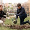 Safe Tree Care Tips for Urban Homeowners