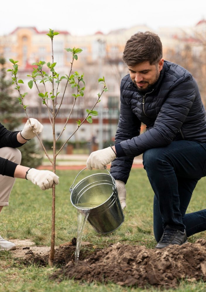 Safe Tree Care Tips for Urban Homeowners