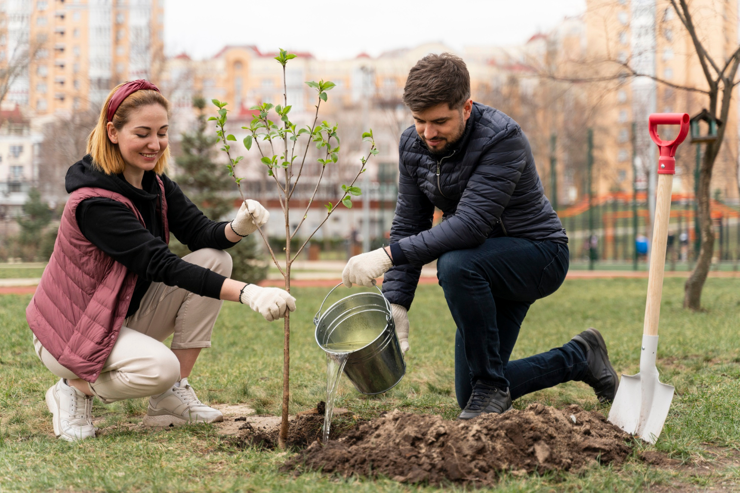 Safe Tree Care Tips for Urban Homeowners