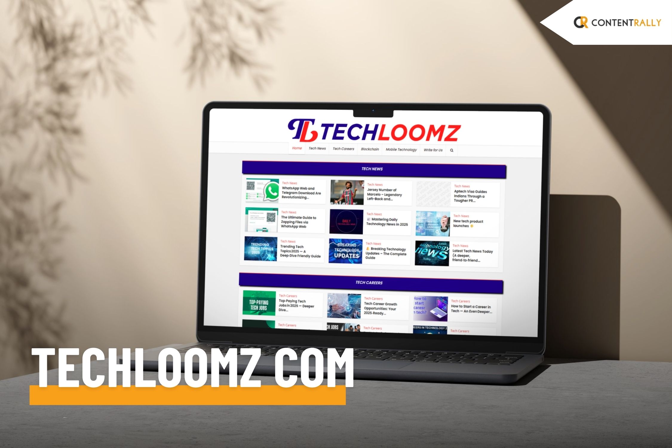 Techloomz com