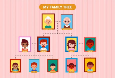 how to find your family tree