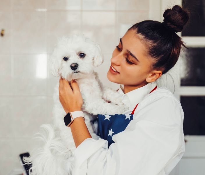 marketing strategy for dogs grooming businesses